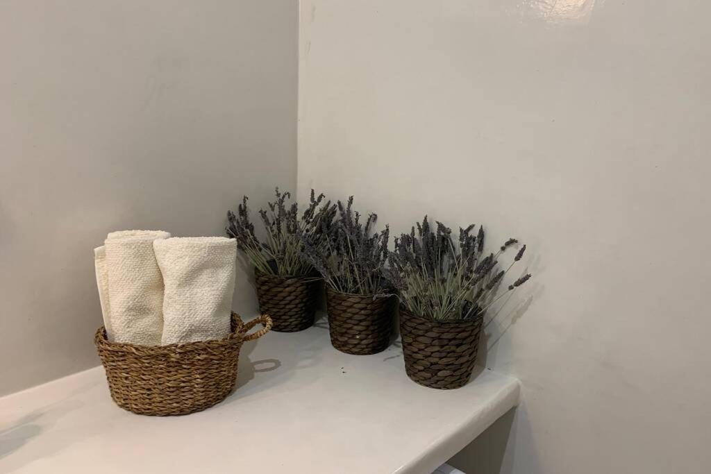 Ευημερία Apartment Andros Town Bagian luar foto